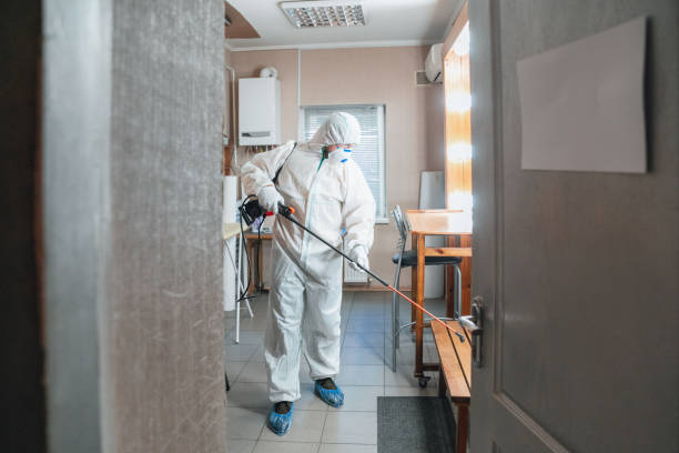 Best Forensic Mold Investigation  in USA